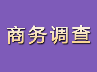 伊宁商务调查