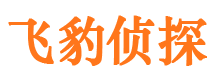 伊宁外遇调查取证